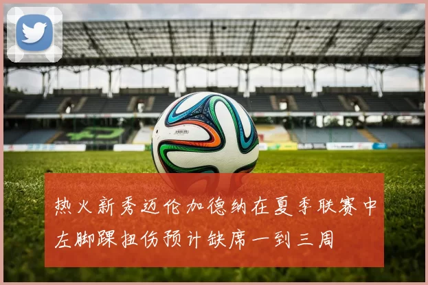 热火新秀迈伦加德纳在夏季联赛中左脚踝扭伤预计缺席一到三周