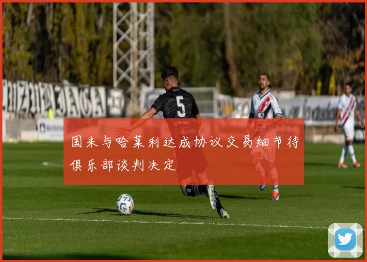 国米与哈莱利达成协议交易细节待俱乐部谈判决定